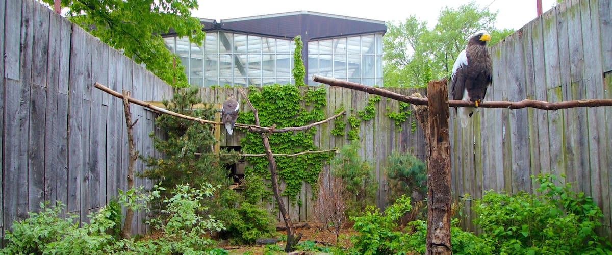 National Aviary ofreciendo aves y animales del zoo