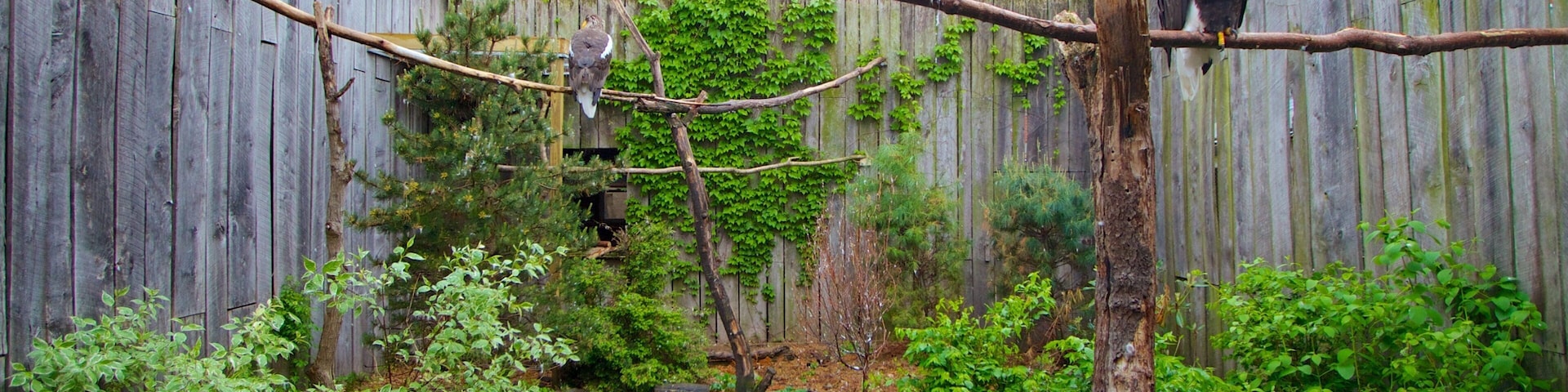 National Aviary which includes zoo animals and bird life