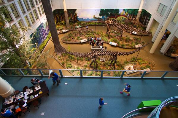 Carnegie Museum of Natural History mettant en vedette vues intérieures et vues