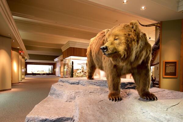 Carnegie Museum of Natural History showing interior views