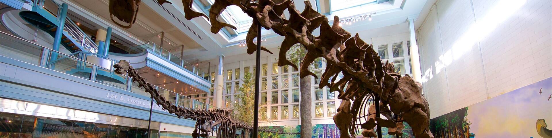 A museum interior with dinosaur skeletons, glass display cases, and a mural of a prehistoric landscape.