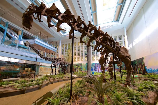 A museum interior with dinosaur skeletons, glass display cases, and a mural of a prehistoric landscape.