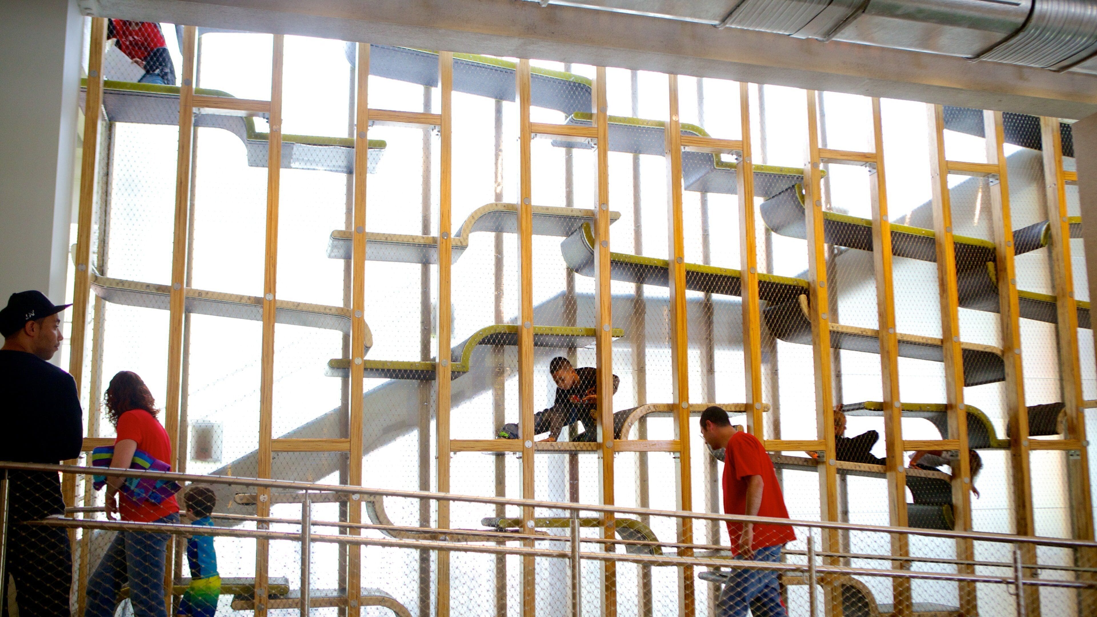 チルドレンズ ミュージアム オブ ピッツバーグ どの含み 屋内の眺め