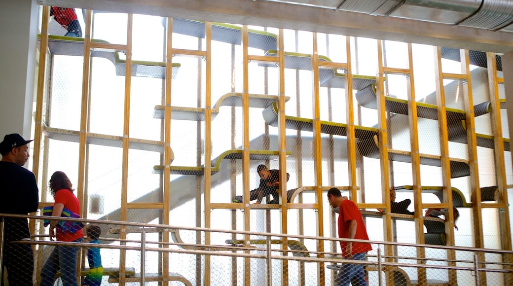 Children\\\'s Museum of Pittsburgh featuring interior views