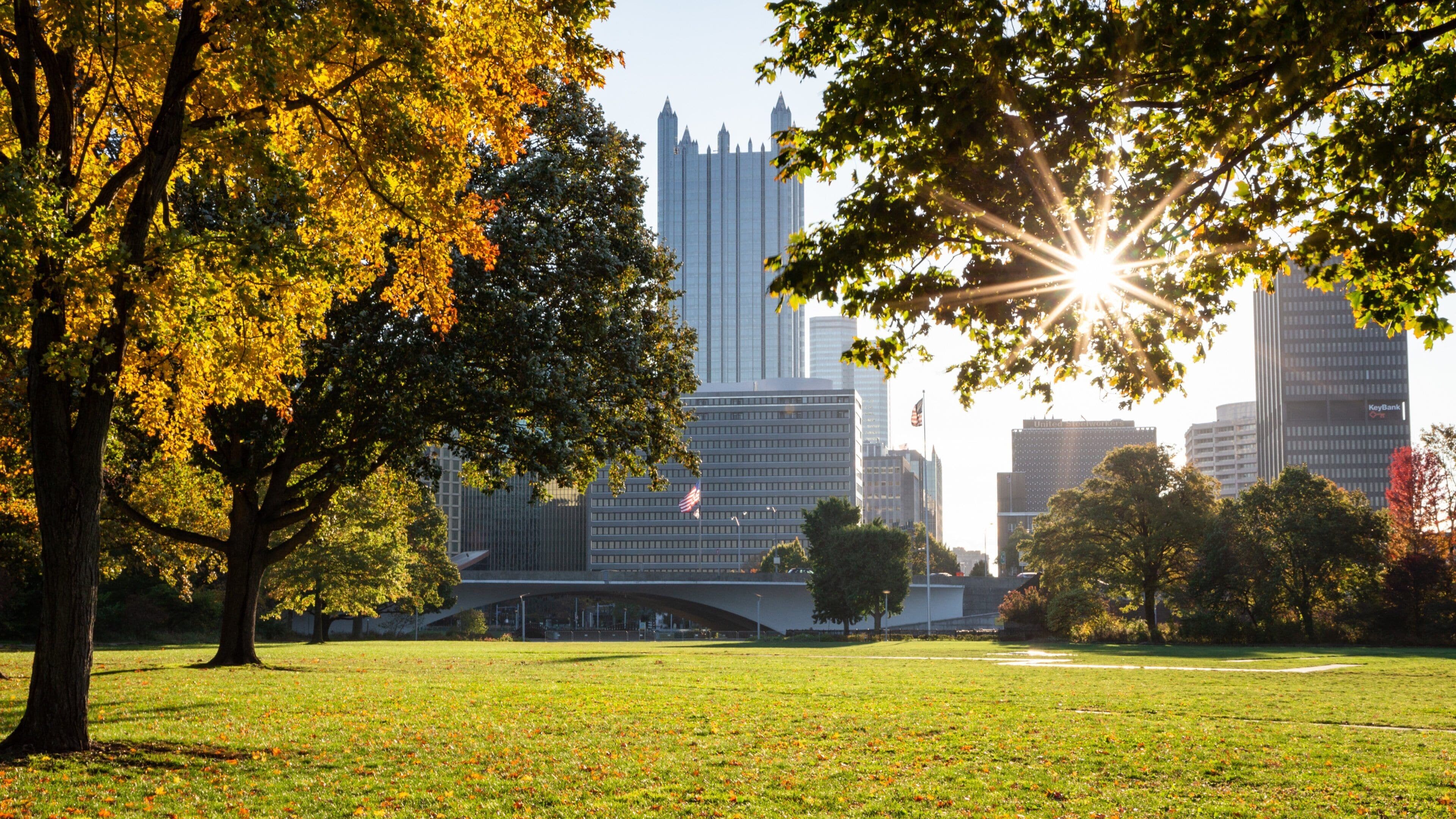 Point State Park featuring a city, a sunset and a garden