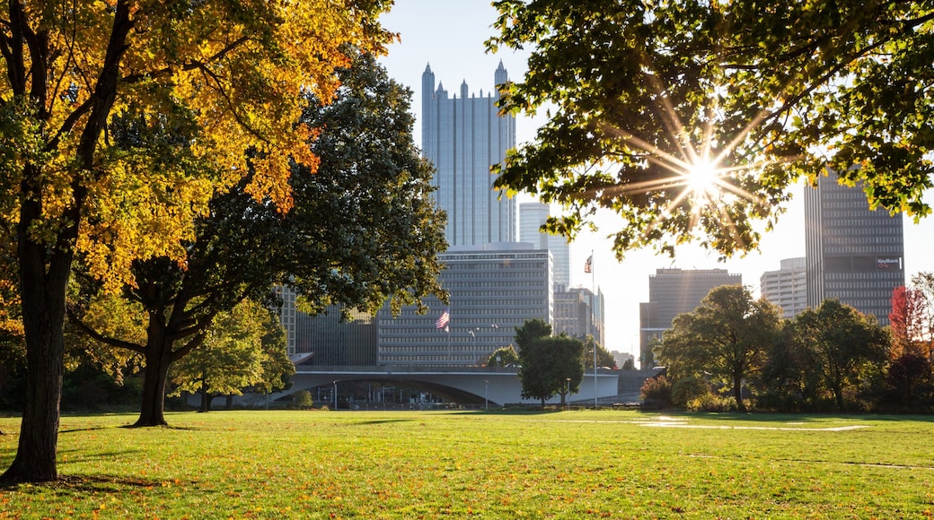 Point State Park featuring a city, a sunset and a garden