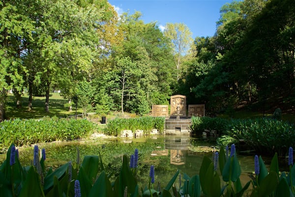 Schenley Park showing a pond and a garden