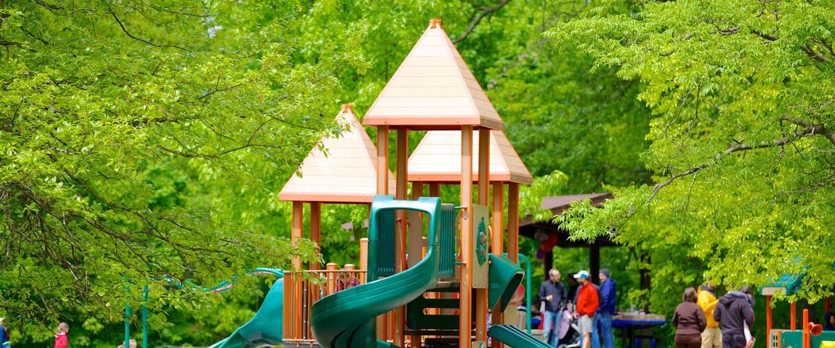 Schenley Park featuring a playground and a park