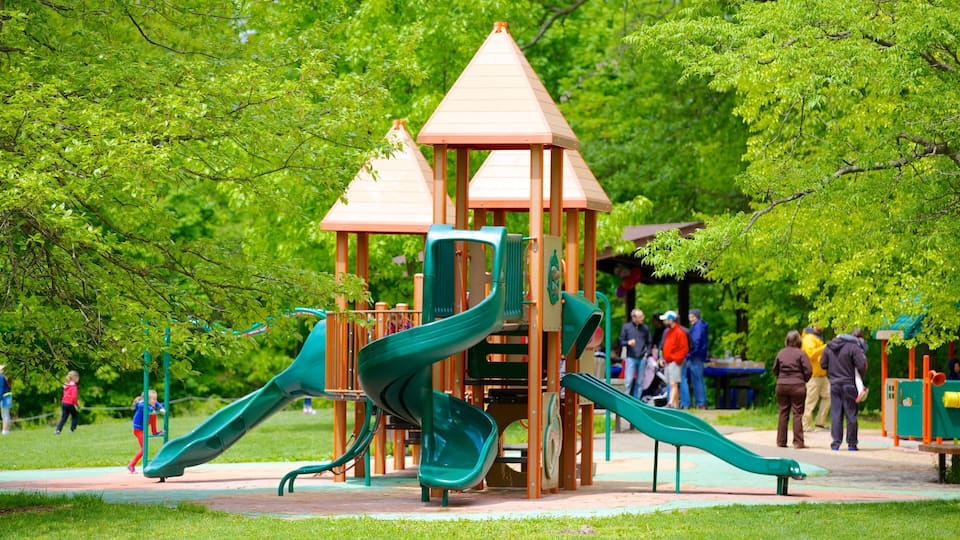 Schenley Park mostrando um parquinho e um jardim