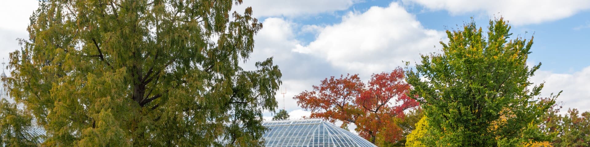 Schenley Park which includes a garden