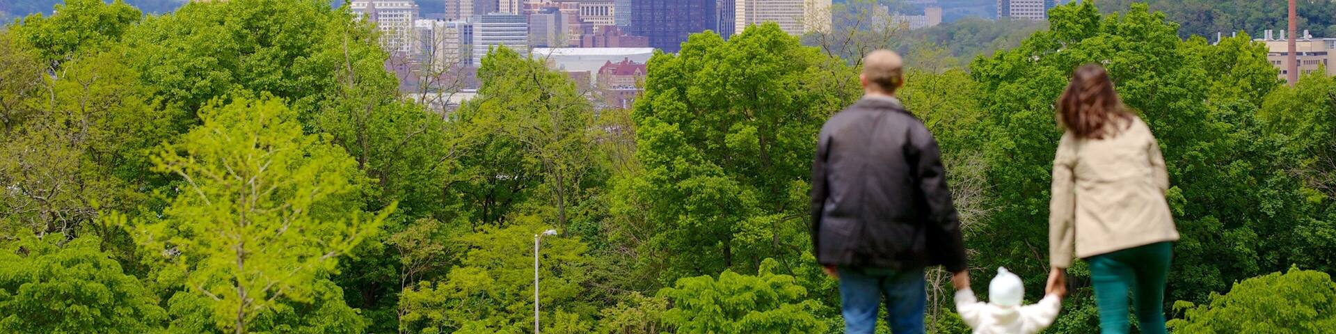 Schenley Park which includes a city, a park and a high rise building