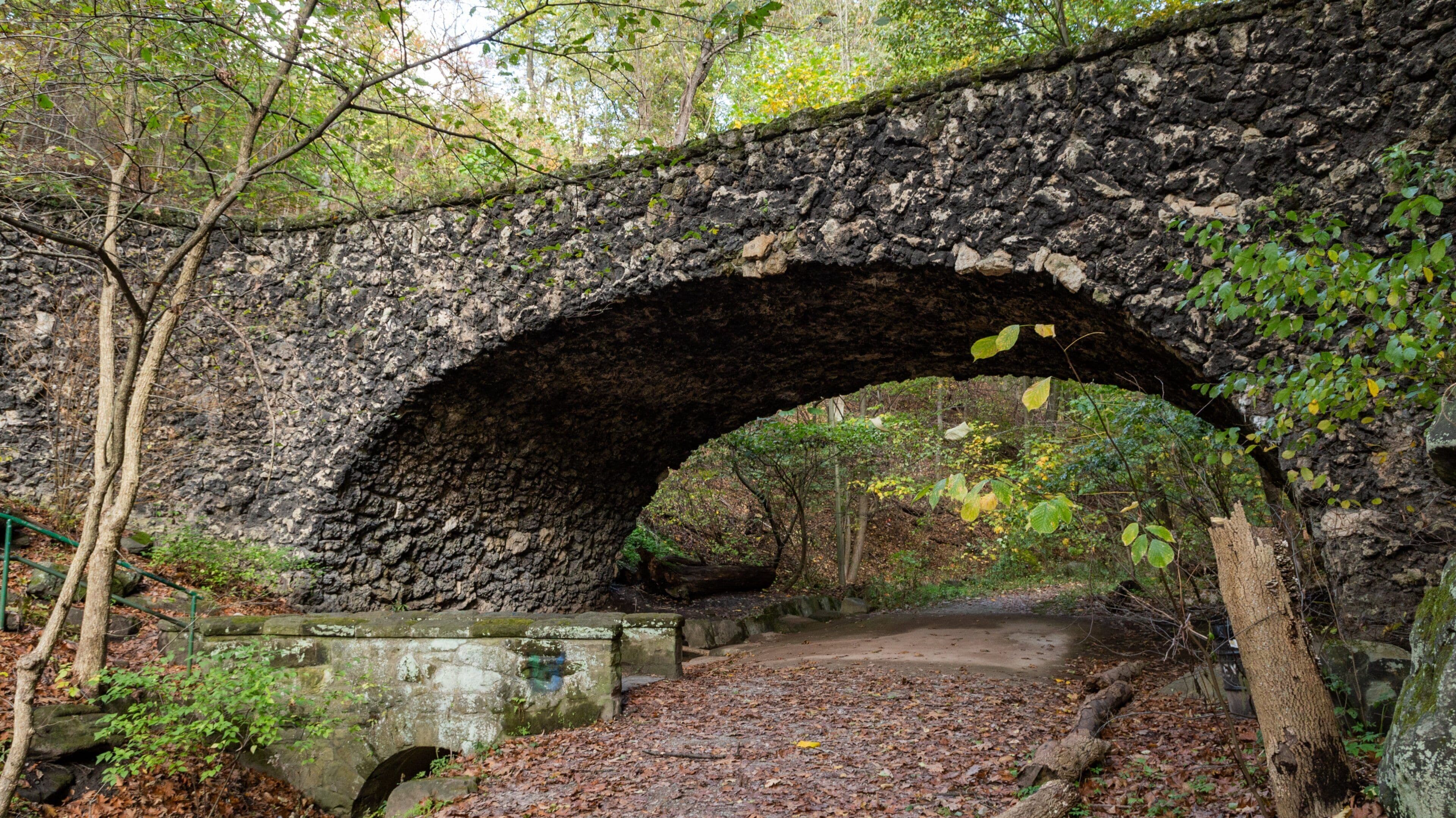 Schenley Park showing a garden and a bridge