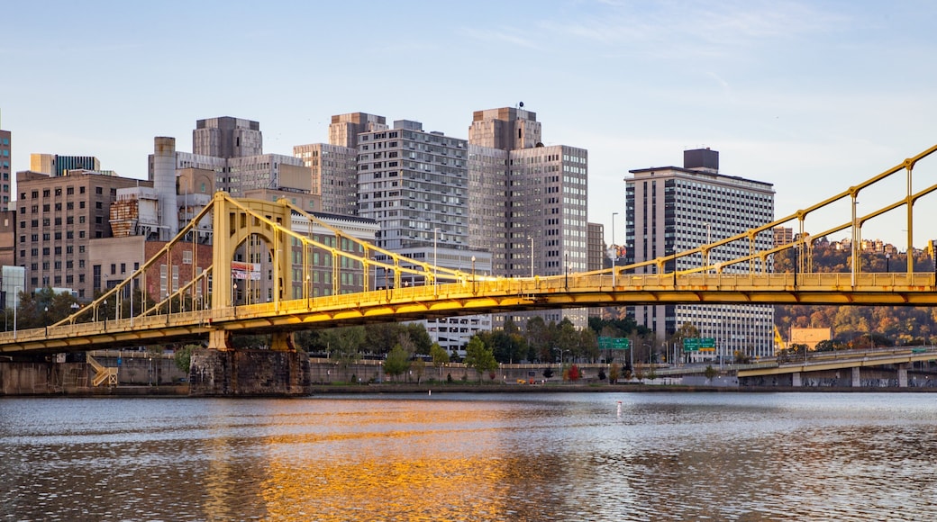 Roberto Clemente Bridge featuring a city, a bridge and a river or creek