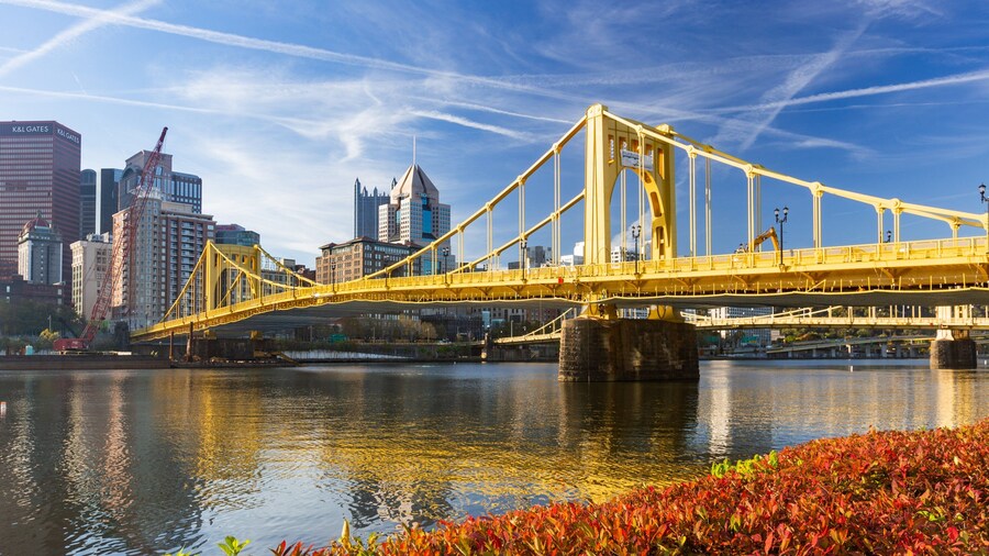 Roberto Clemente Bridge showing a bridge, a city and a river or creek