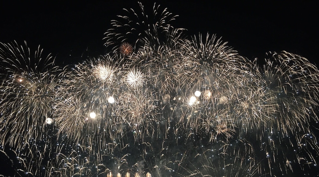 Music synchronizing with the fireworks