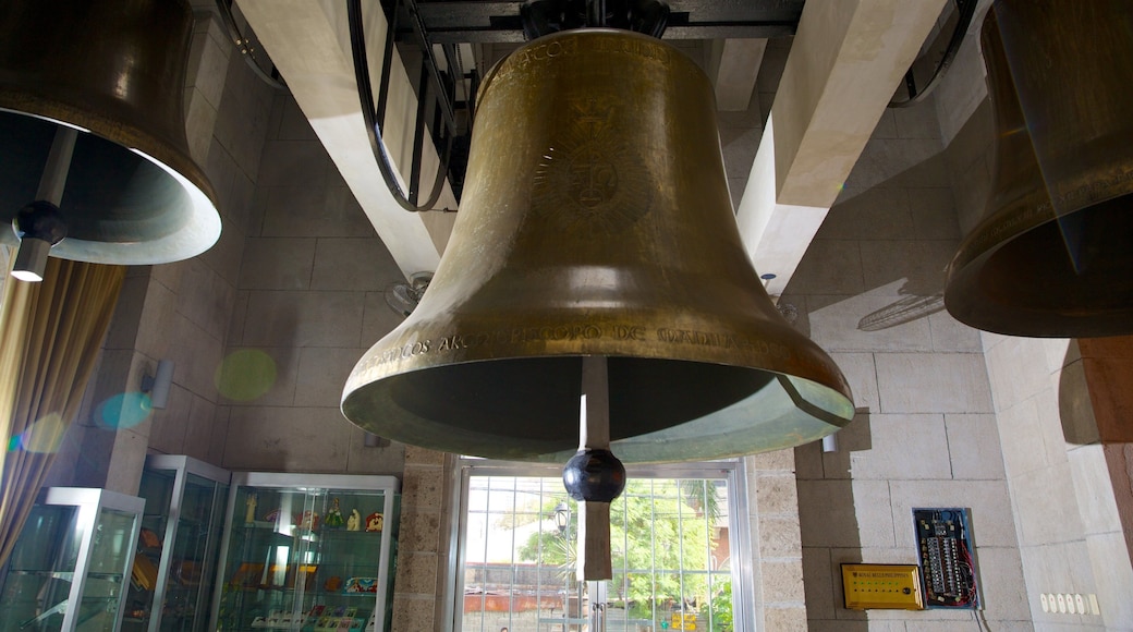 Manila katedral som inkluderer religiøse elementer, kirke eller katedral og innendørs