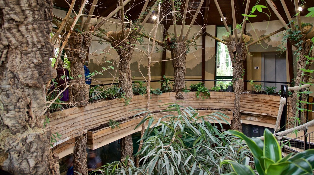 Jersey Zoological Park featuring a park