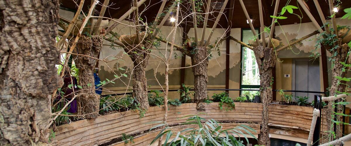 Jersey Zoological Park che include giardino