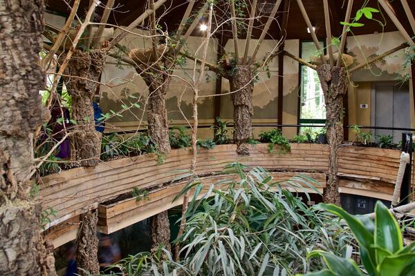 Parc zoologique de Jersey mettant en vedette jardin