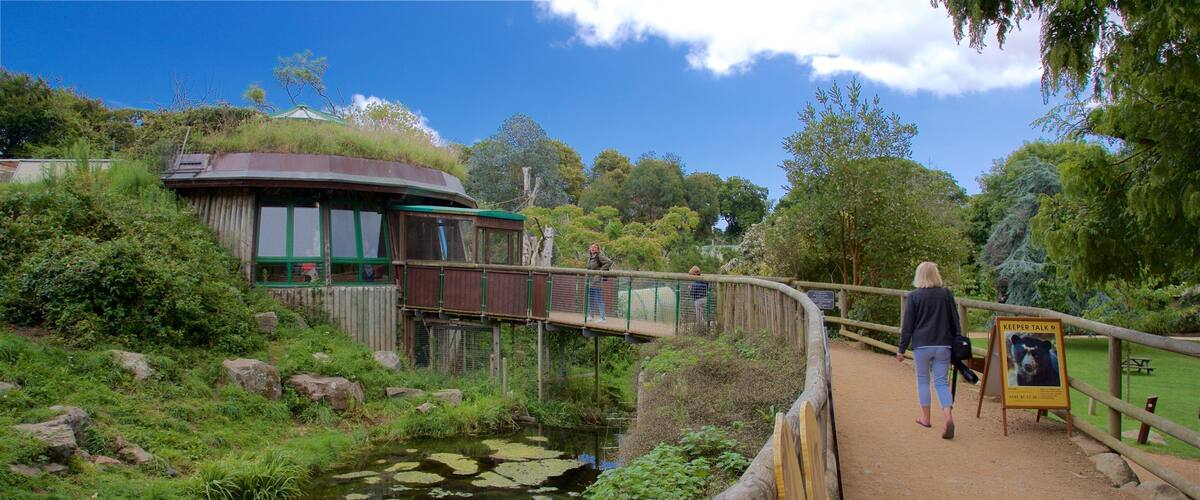 Jersey Zoological Park ofreciendo un estanque y un puente y también una mujer