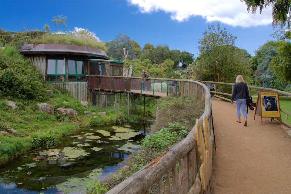 A wooden bridge over a pond with lily pads, a wooden building, and a signboard.