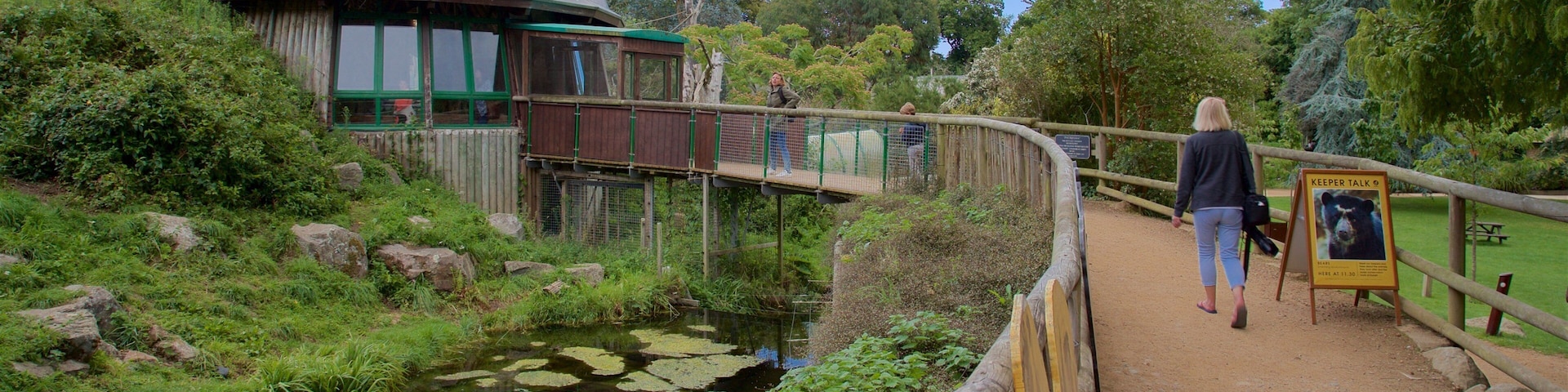 Jersey Zoological Park featuring a bridge and a pond as well as an individual femail