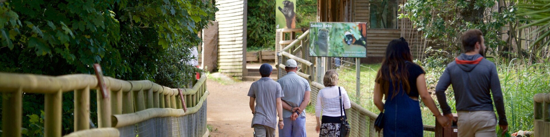 Jersey Zoological Park welches beinhaltet Garten sowie Paar