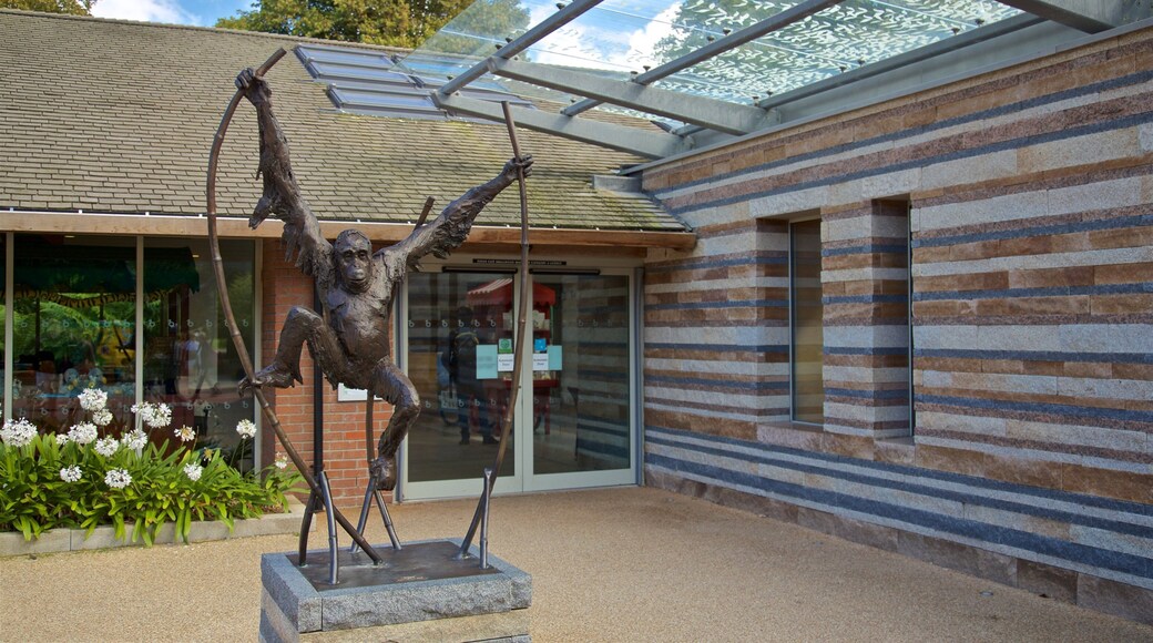 Jersey Zoological Park showing outdoor art