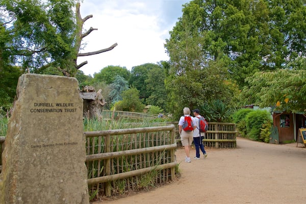 A wooden bridge, a sign for Durrell Wildlife Conservation Trust, and a small building with a signboard.