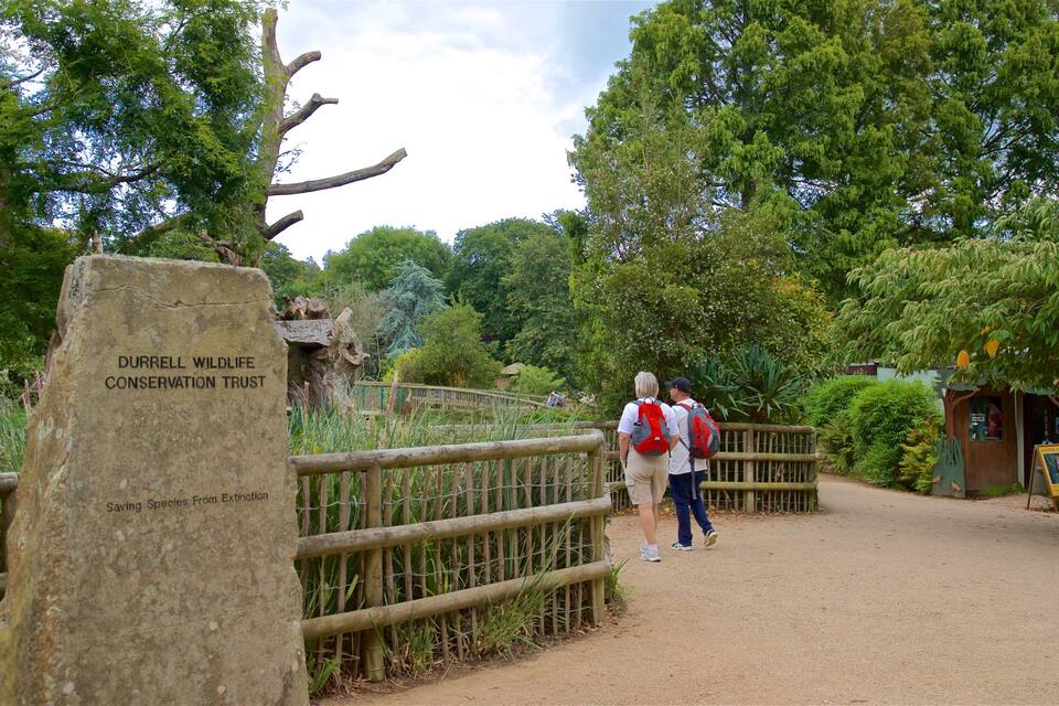 A wooden bridge, a sign for Durrell Wildlife Conservation Trust, and a small building with a signboard.