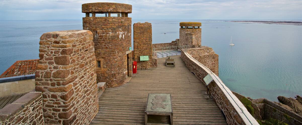 ๋ชฝํ ๋ฅด๊ณ ์ด ์ฑ ์ ํน์ง ์ ๊ฒฝ ๊ณผ ์ผ๋ฐ ํด์ ์ ๊ฒฝ