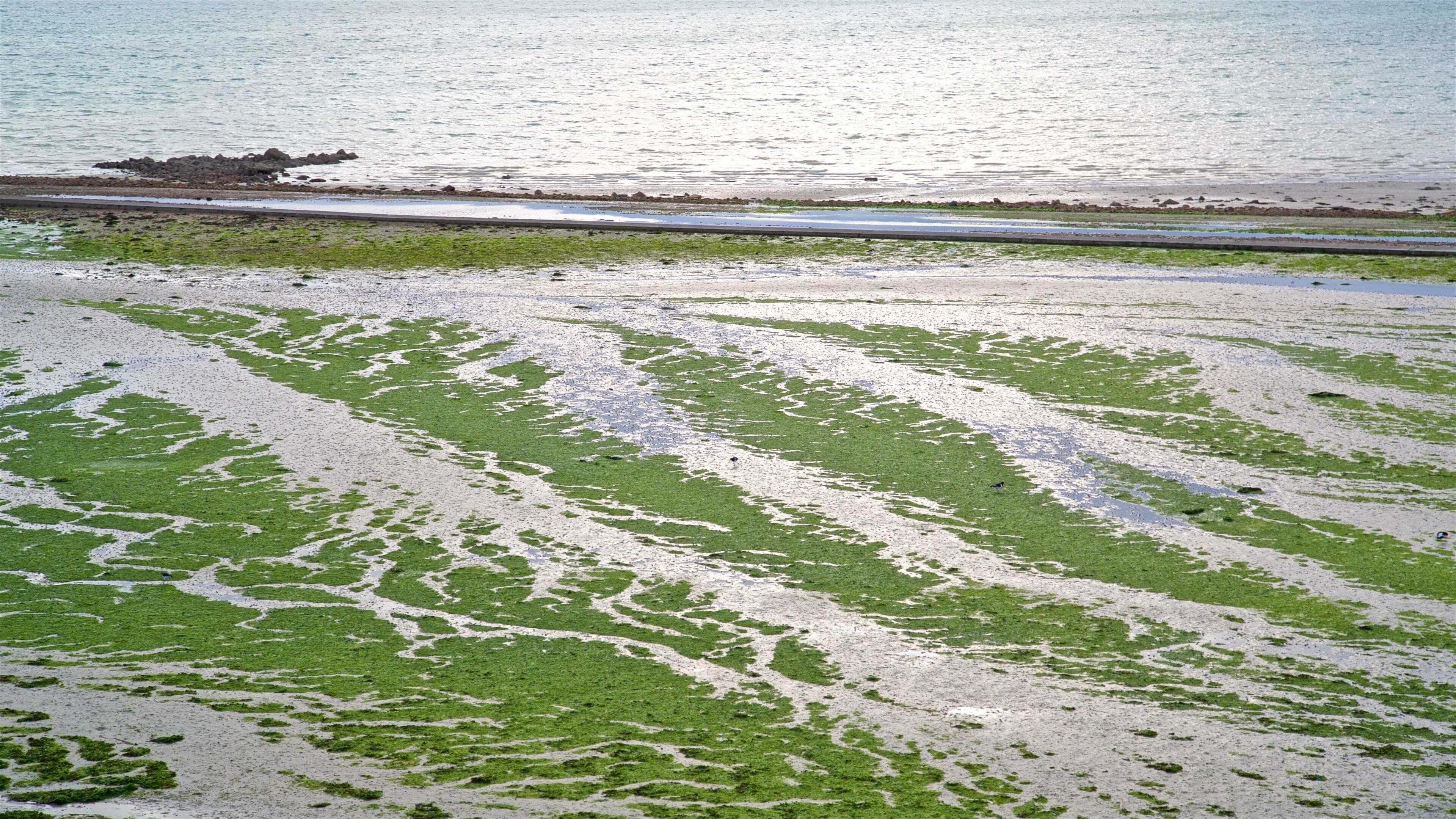 St. Helier Beach featuring general coastal views and landscape views