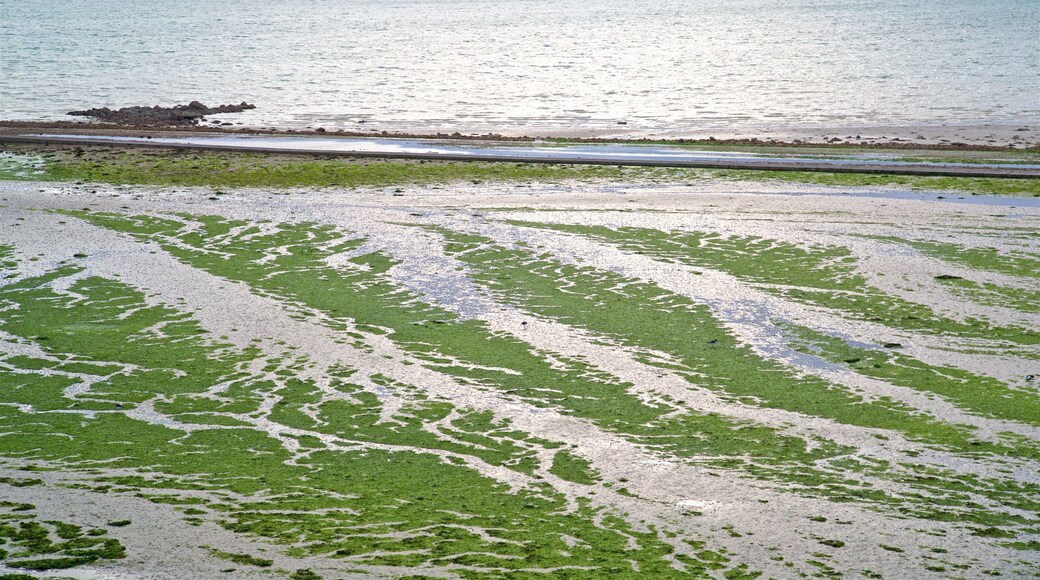 St. Helier Beach featuring general coastal views and landscape views