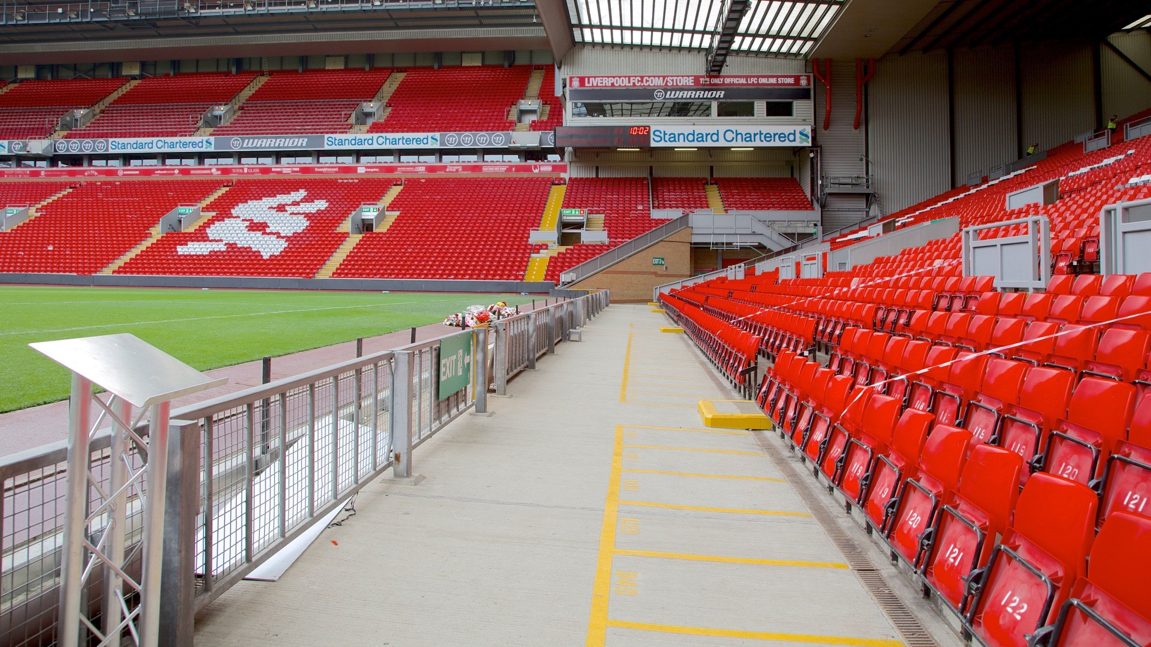 晏菲路球場 其中包括 體育活動, 現代建築 和 內部景觀