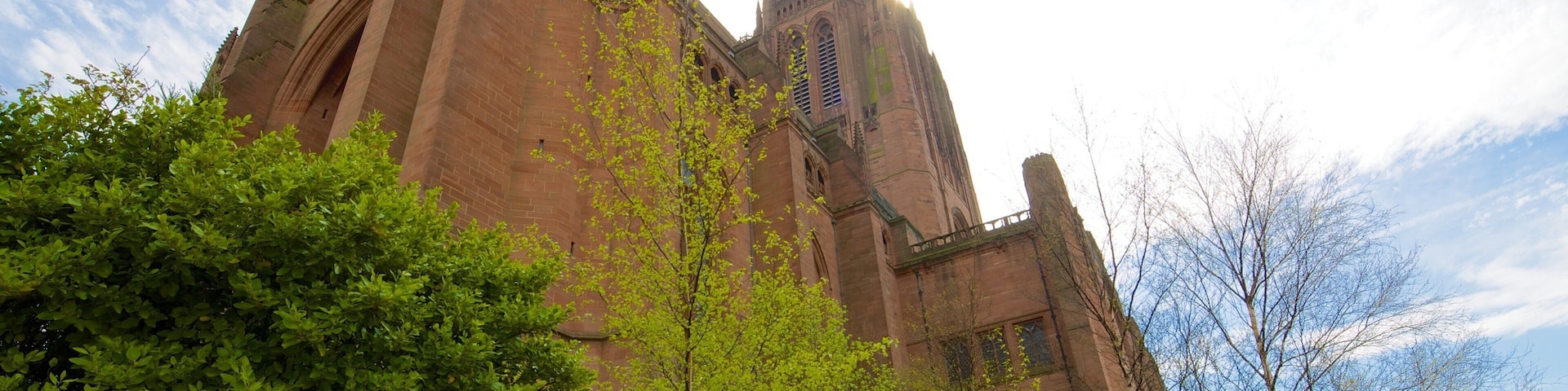Liverpool Anglican Cathedral featuring religious elements, a church or cathedral and heritage architecture