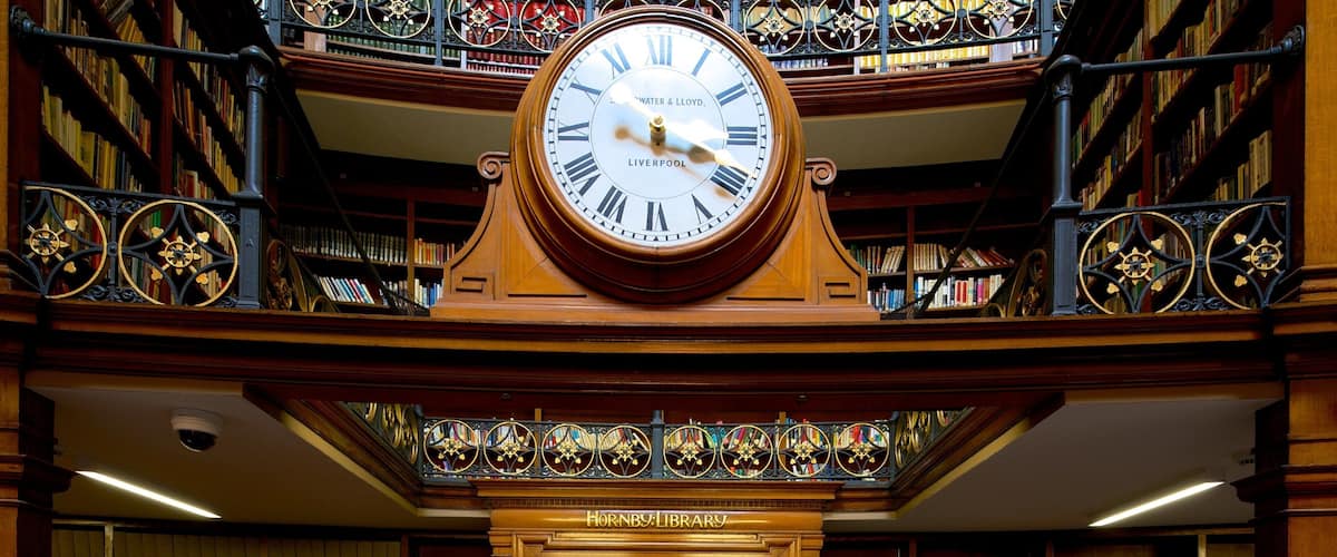 ๋ฆฌ๋ฒํ ์ผํธ๋ด ๋์๊ด ์ ๋ณด์ฌ์ฃผ๋ ์ค๋ด ์ ๊ฒฝ