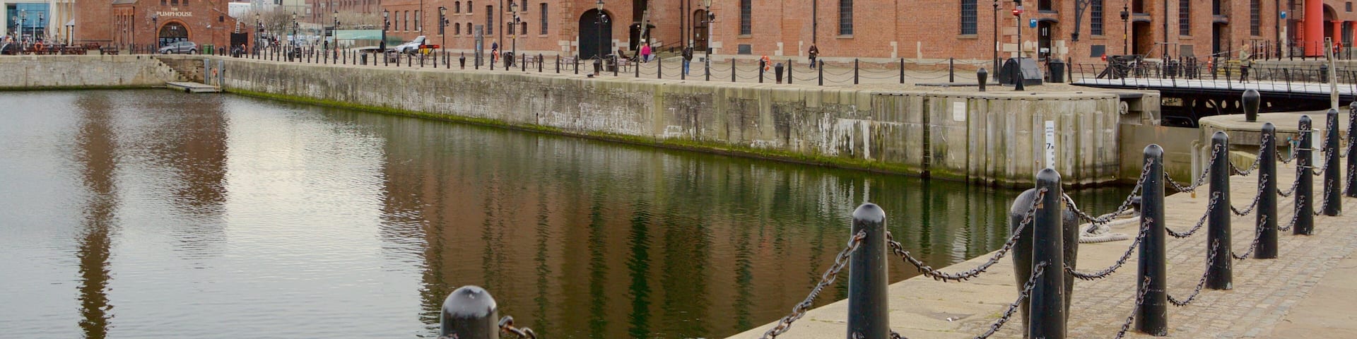 Merseyside Maritime Museum showing a river or creek and a city