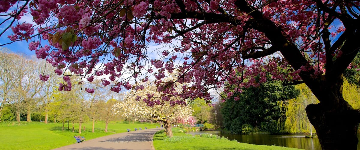 Sefton Park caratteristiche di parco
