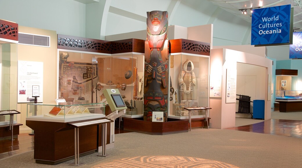 World Museum Liverpool which includes interior views