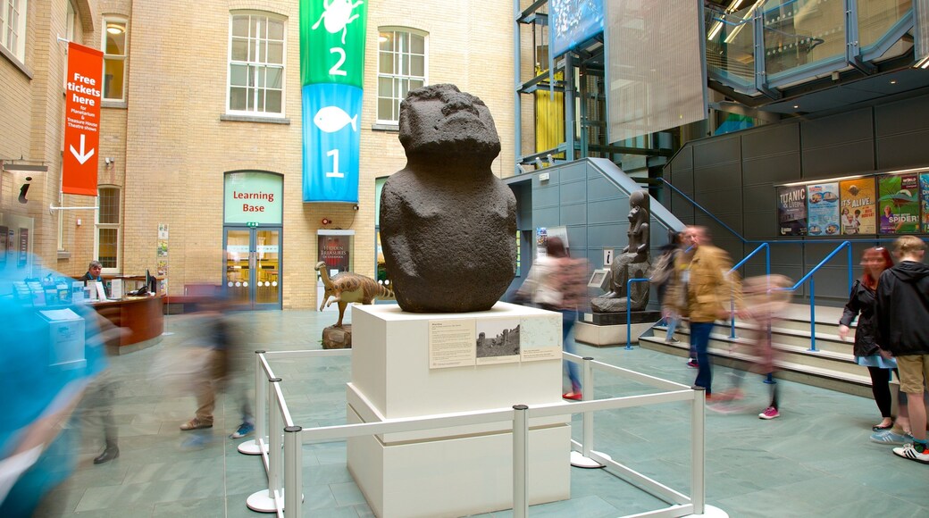 World Museum Liverpool mostrando una estatua o escultura y vistas interiores