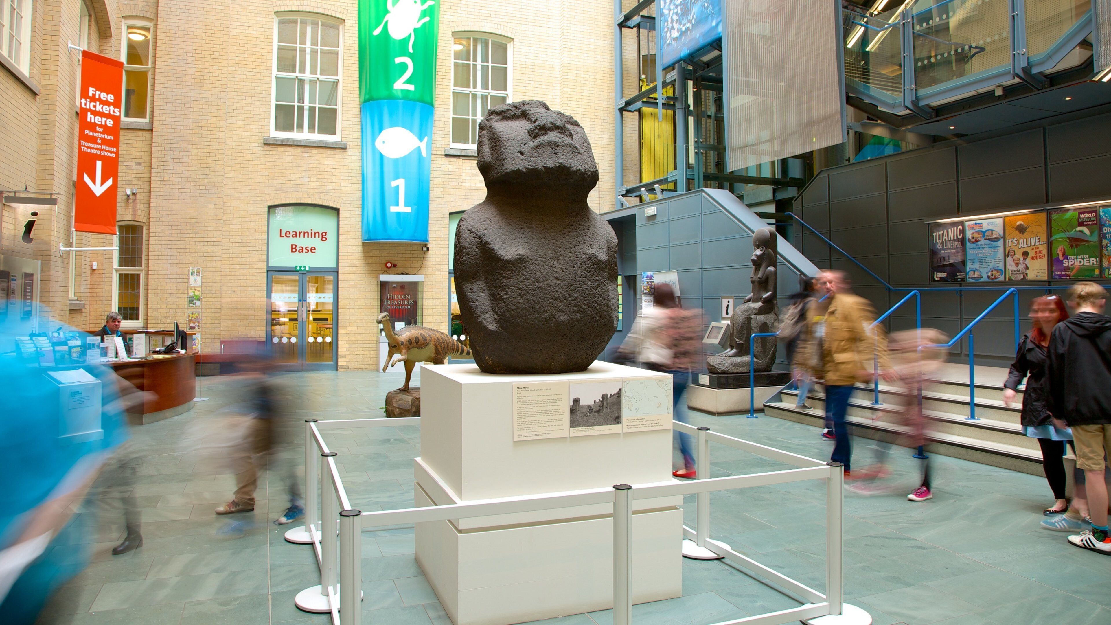 World Museum Liverpool In St George s Quarter Expedia co uk World Museum Liverpool In St George s Quarter Expedia co uk