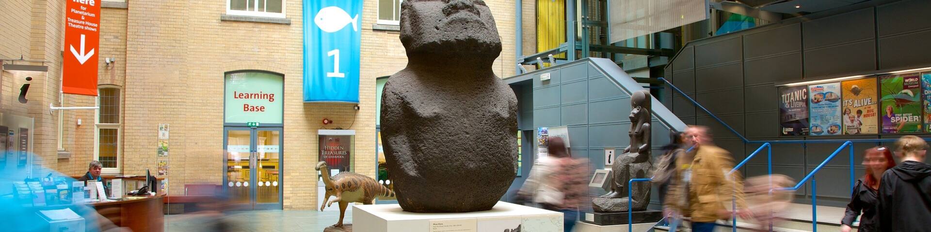 World Museum Liverpool showing a statue or sculpture and interior views