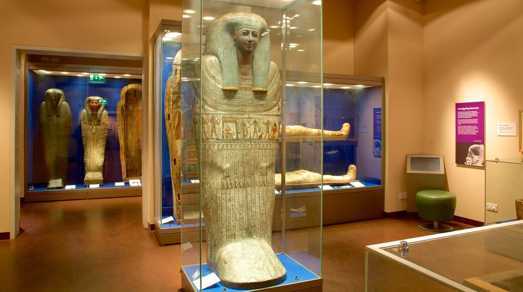 World Museum Liverpool ofreciendo vistas interiores