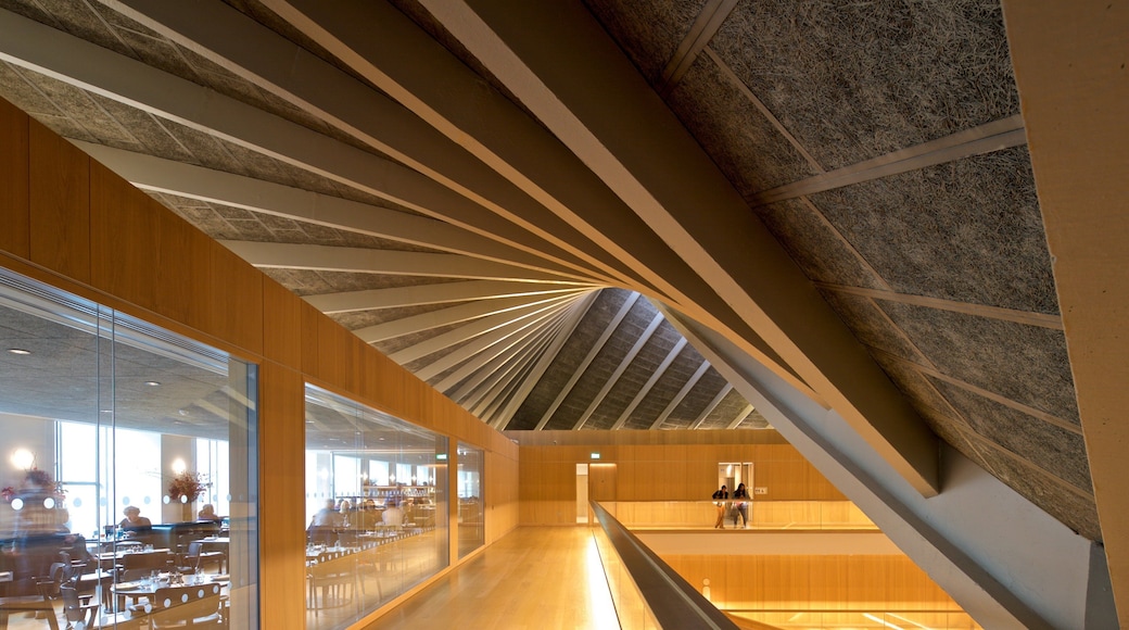 設計博物館 呈现出 內部景觀