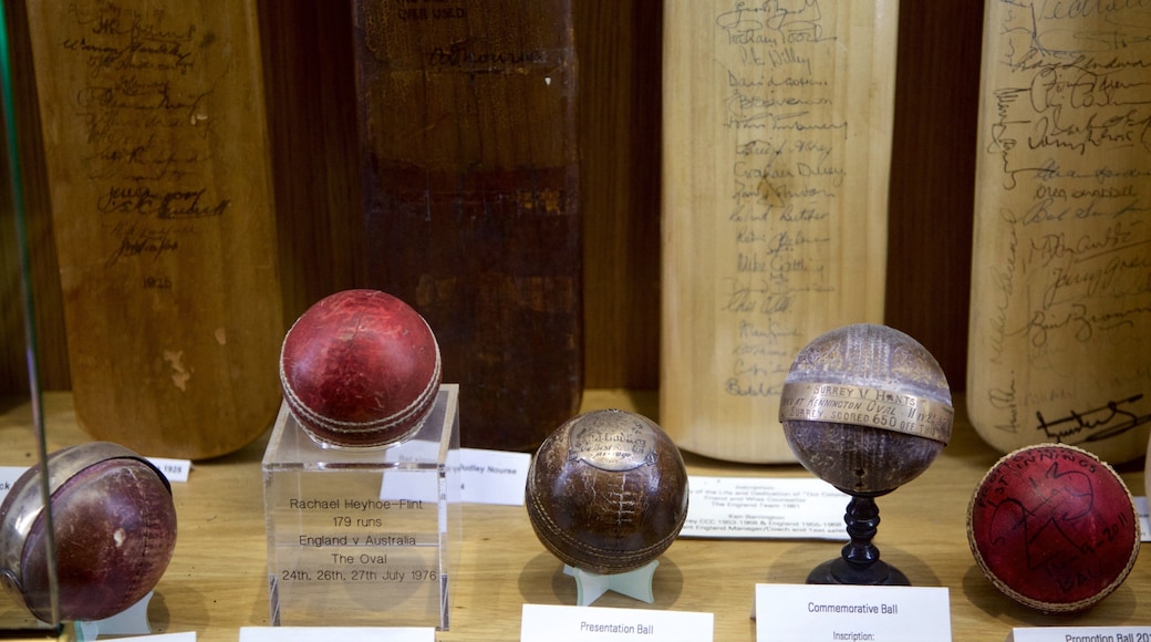 Kennington Oval featuring interior views