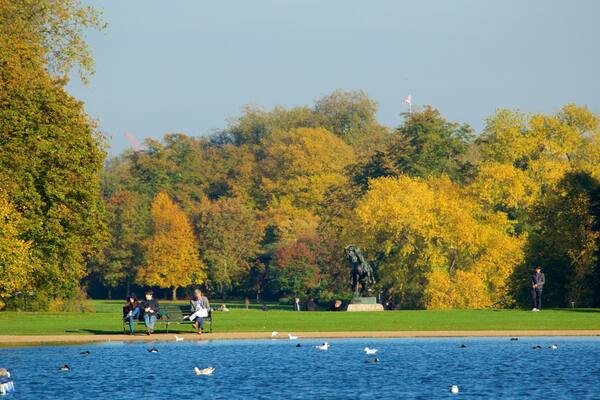 Kensington Gardens featuring a park, a river or creek and bird life