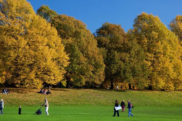 Kensington Gardens das einen Park sowie kleine Menschengruppe