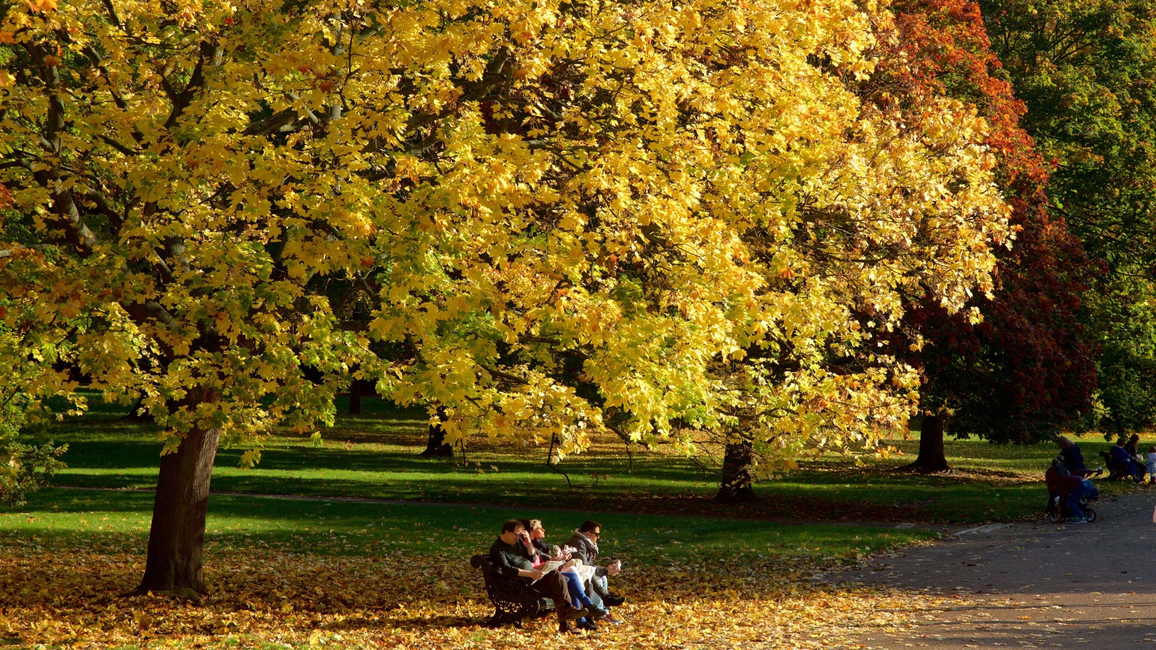 Kensington Gardens mostrando um jardim e folhas de outono assim como um pequeno grupo de pessoas