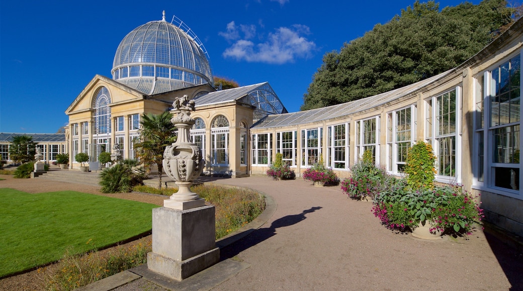 Syon Park mettant en vedette jardin et fleurs sauvages