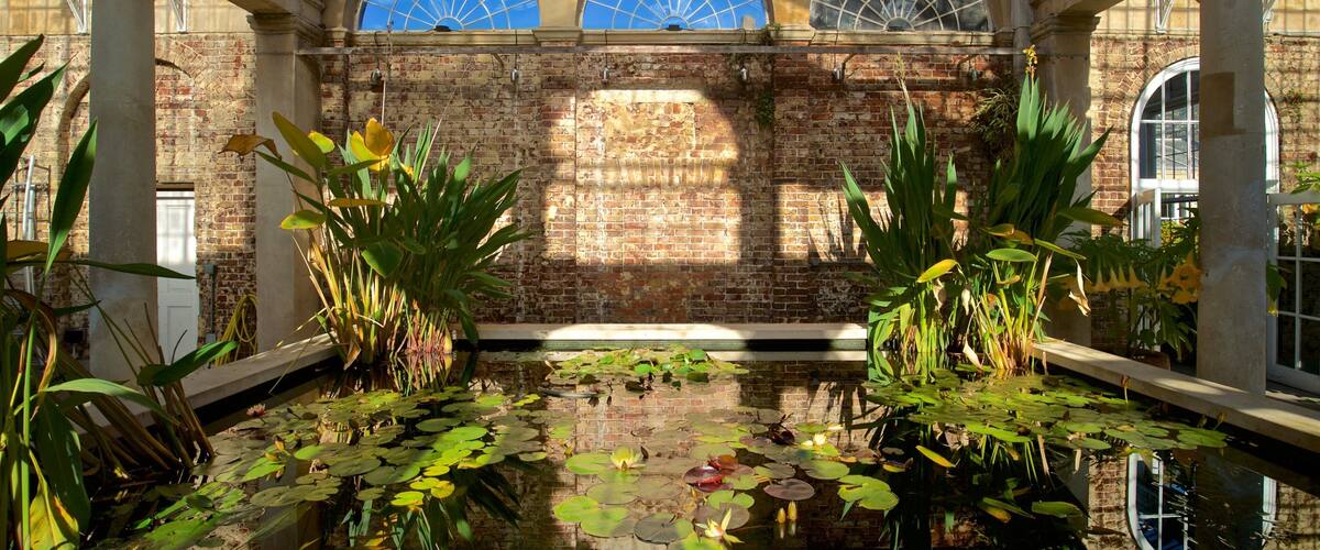 サイオン パーク フィーチャー 池